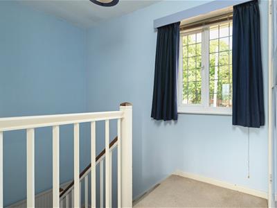 Picture 15